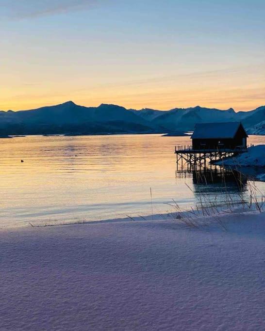 Holiday Home With Sauna In The Arctic Caribbean, Tromso Exterior photo